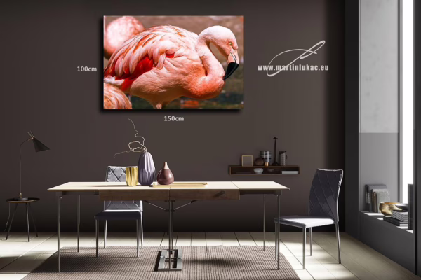 Vizualizace elegantního růžového ptáka, vhodného jako obraz do interiéru, k prodeji v našem eshopu, autor Martin Lukač, pražský fotograf, www.martinlukac.eu