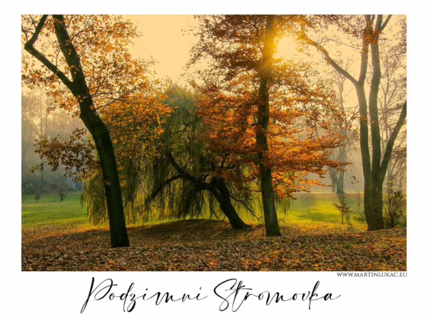 Podzimní Stromovka – ranní světlo a barevné stromy v podzimním parku, autor Martin Lukač, www.martinlukac.eu