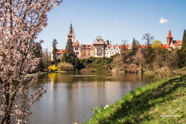 Průhonický zámecký park – jarní květy a zámek v Průhonicích, autor Martin Lukač, www.martinlukac.eu