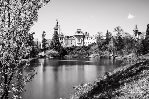 Průhonický zámecký park – Černobílá verze zámeckého parku a rybníka, autor Martin Lukač, www.martinlukac.eu