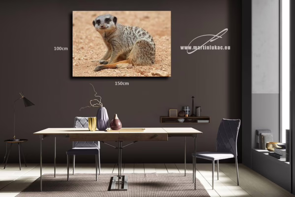 Elegantní záběr surikaty jako dekorativní prvek přírodní krásy, k prodeji v našem eshopu, autor Martin Lukač, pražský fotograf, www.martinlukac.eu