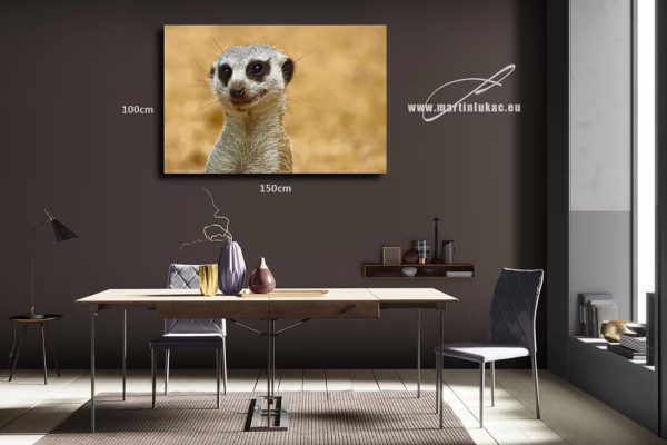 Detailní obraz surikaty jako výrazný prvek přírodní estetiky, k prodeji v našem eshopu, autor Martin Lukač, pražský fotograf, www.martinlukac.eu