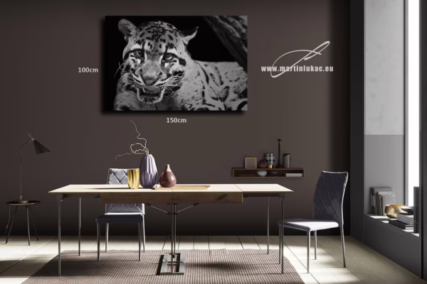 Obraz majestátní šelmy jako silný vizuální motiv pro interiér, k prodeji v našem eshopu, autor Martin Lukač, pražský fotograf, www.martinlukac.eu