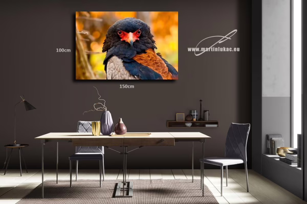 Výrazný portrét orlíka jako silný a estetický motiv do interiéru, k prodeji v našem eshopu, autor Martin Lukač, pražský fotograf, www.martinlukac.eu