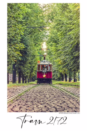 Historická tramvaj 2172 projíždí zelenou alejí v Praze, autor Martin Lukač, pražský fotograf, www.martinlukac.eu
