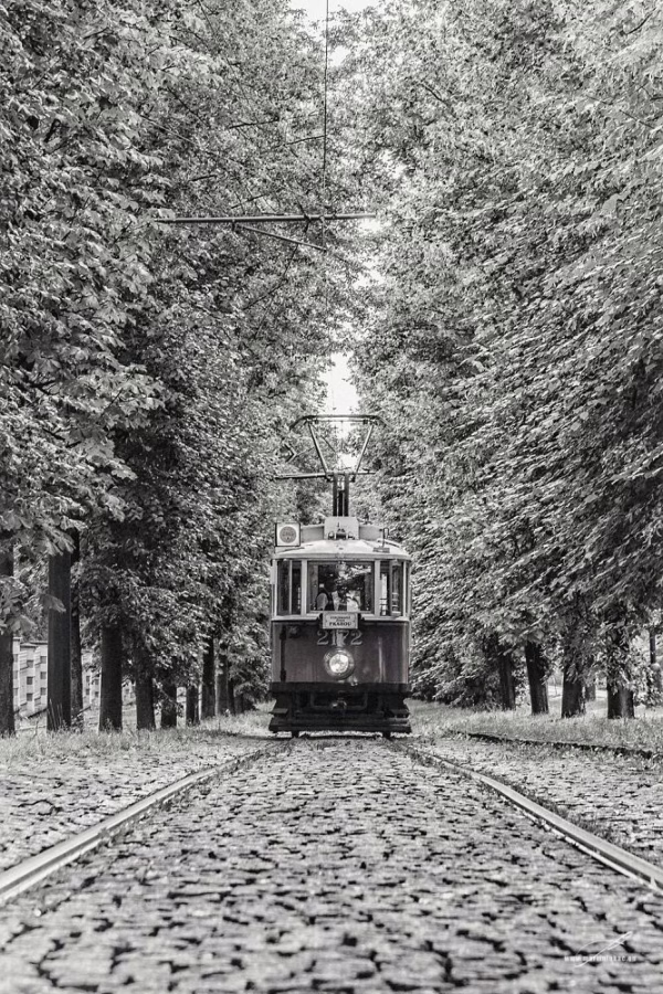 Historická tramvaj 2172 v zelené aleji v černobílé verzi, autor Martin Lukač, pražský fotograf, www.martinlukac.eu