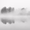 Trojská probouzení – Mlžné ráno u řeky v Troji se stromy odrážejícími se na klidné hladině, černobílá fotografie, autor Martin Lukač, černobílá