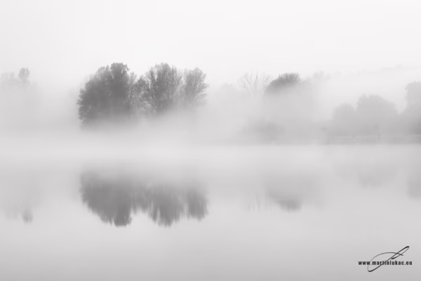 Trojská probouzení – Mlžné ráno u řeky v Troji se stromy odrážejícími se na klidné hladině, černobílá fotografie, autor Martin Lukač, černobílá