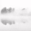 Trojská probouzení – Mlžné ráno u řeky v Troji se stromy odrážejícími se na klidné hladině, černobílá fotografie, autor Martin Lukač, snow