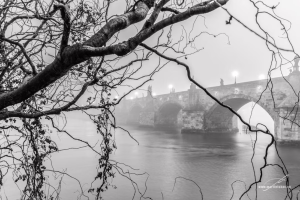 V zajetí moci – Karlův most zahalený mlhou, rámovaný větvemi stromů nad Vltavou, autor Martin Lukač, černobílá