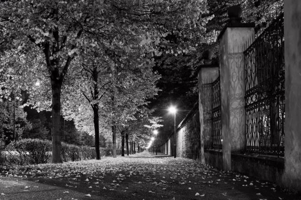 Zlatý podzim v podvečerní Praze v černobílé verzi, autor Martin Lukač, pražský fotograf, www.martinlukac.eu