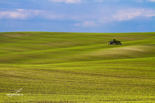 Expresivní krajinomalba inspirovaná fotografií pálavské krajiny s osamoceným stavením, autor Martin Lukač, pražský fotograf, www.martinlukac.eu