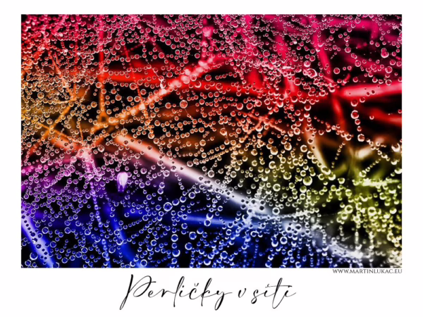 Drobné perličky rosy zachycené v jemné síti v barevném světle, autor Martin Lukač, pražský fotograf, www.martinlukac.eu