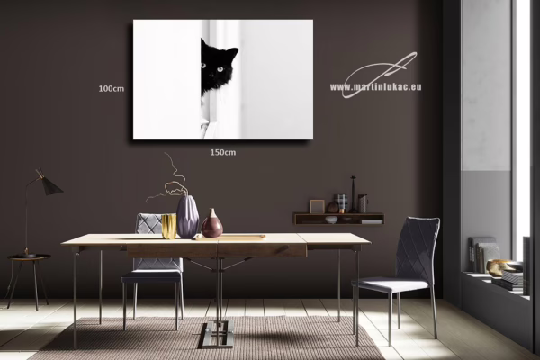 Černobílá fotografie černého kocoura, který nakukuje zpoza rohu, dobách povodní, autor Martin Lukač, pražský fotograf, www.martinlukac.eu