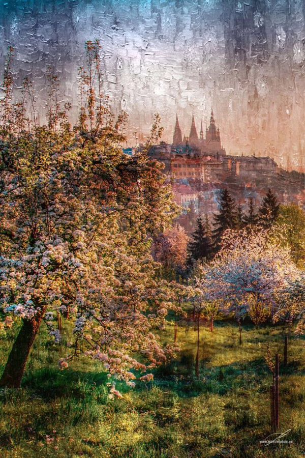 Jemné květy třešní rámují pohled na historické panorama Prahy, autor Martin Lukač, pražský fotograf, www.martinlukac.eu