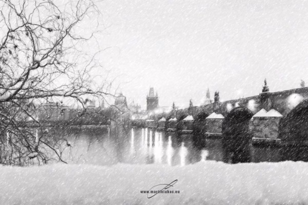 Zasněžená Praha skrytá za větvemi šípkového keře, autor Martin Lukač, pražský fotograf, www.martinlukac.eu