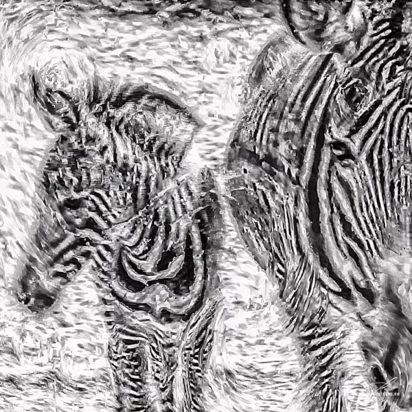 Zebry v pohybu zachycené v malířské textuře s důrazem na pruhy, autor Martin Lukač, pražský fotograf, www.martinlukac.eu