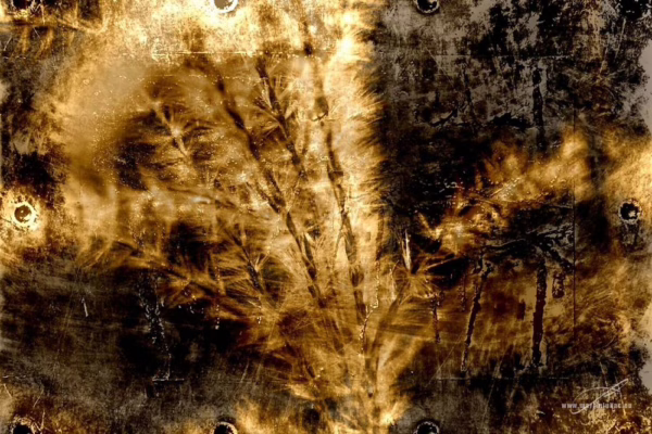 Detailní silueta klasu v abstraktním, rezavém podání, autor Martin Lukač, pražský fotograf, www.martinlukac.eu