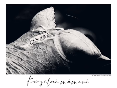 Svůdné linie v krajkovém korzetu... Korzetové mámení - Detail krajkového korzetu v černobílé kompozici, autor Martin Lukač, www.martinlukac.eu, prezentace