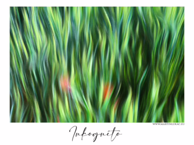 Co je skryto, zůstává živé... Abstraktní pohyb zelených travin se skrytými tóny, autor Martin Lukač, pražský fotograf, www.martinlukac.eu