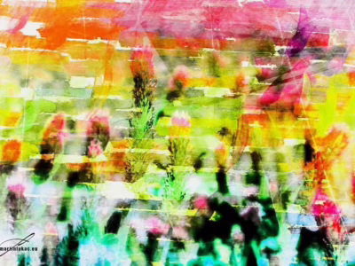 Rozkvetlá louka plná barev a snů... Zářivé tóny květin na letní louce v akvarelovém pojetí, autor Martin Lukač, pražský fotograf, www.martinlukac.eu