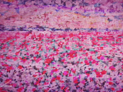 Rozkvetlé pole snů přetavené do obrazové poezie... Krajina plná květů máku v impresionistickém stylu a živých barvách, autor Martin Lukač, pražský fotograf, www.martinlukac.eu