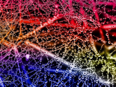 Kouzlo ranní rosy ve světle barevného spektra... Makrofotografie pavučiny pokryté kapkami, hrajícími všemi barvami, autor Martin Lukač, pražský fotograf, www.martinlukac.eu