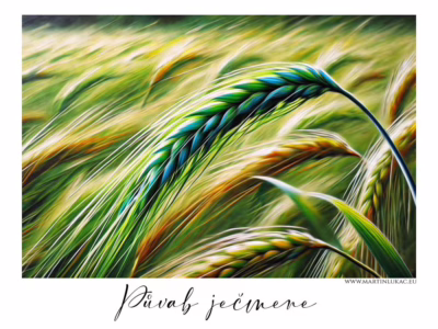 Pohyb polí v rytmu větru, dech léta... Zelený ječmen se sklání ve větru uprostřed rozvlněného pole, autor Martin Lukač, pražský fotograf, www.martinlukac.eu