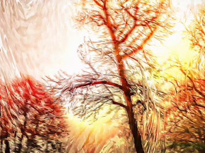 Když se světlo láme mezi světy... Zářivé paprsky slunce prosvítající mezi větvemi osamělého stromu, autor Martin Lukač, pražský fotograf, www.martinlukac.eu