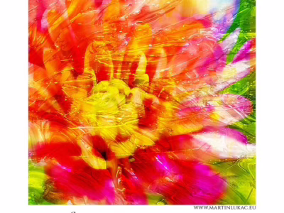 Exploze barev a jemných květinových vibrací... Barevné květinové poupě v pohybu a světle, autor Martin Lukač, pražský fotograf, www.martinlukac.eu