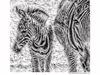 Dotek divočiny v tanci pruhů a stínů... Umělecké ztvárnění zebří matky a mláděte v černobílých strukturách, autor Martin Lukač, pražský fotograf, www.martinlukac.eu