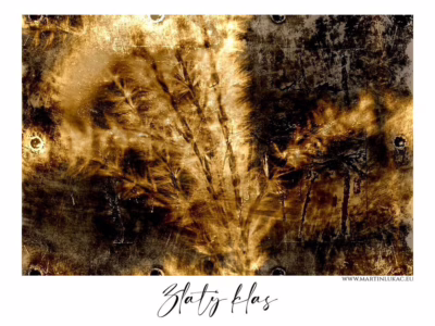 Zrno světla v kovu času... Umělecká kompozice zrna a stopy času v hnědo-zlaté paletě, autor Martin Lukač, pražský fotograf, www.martinlukac.eu